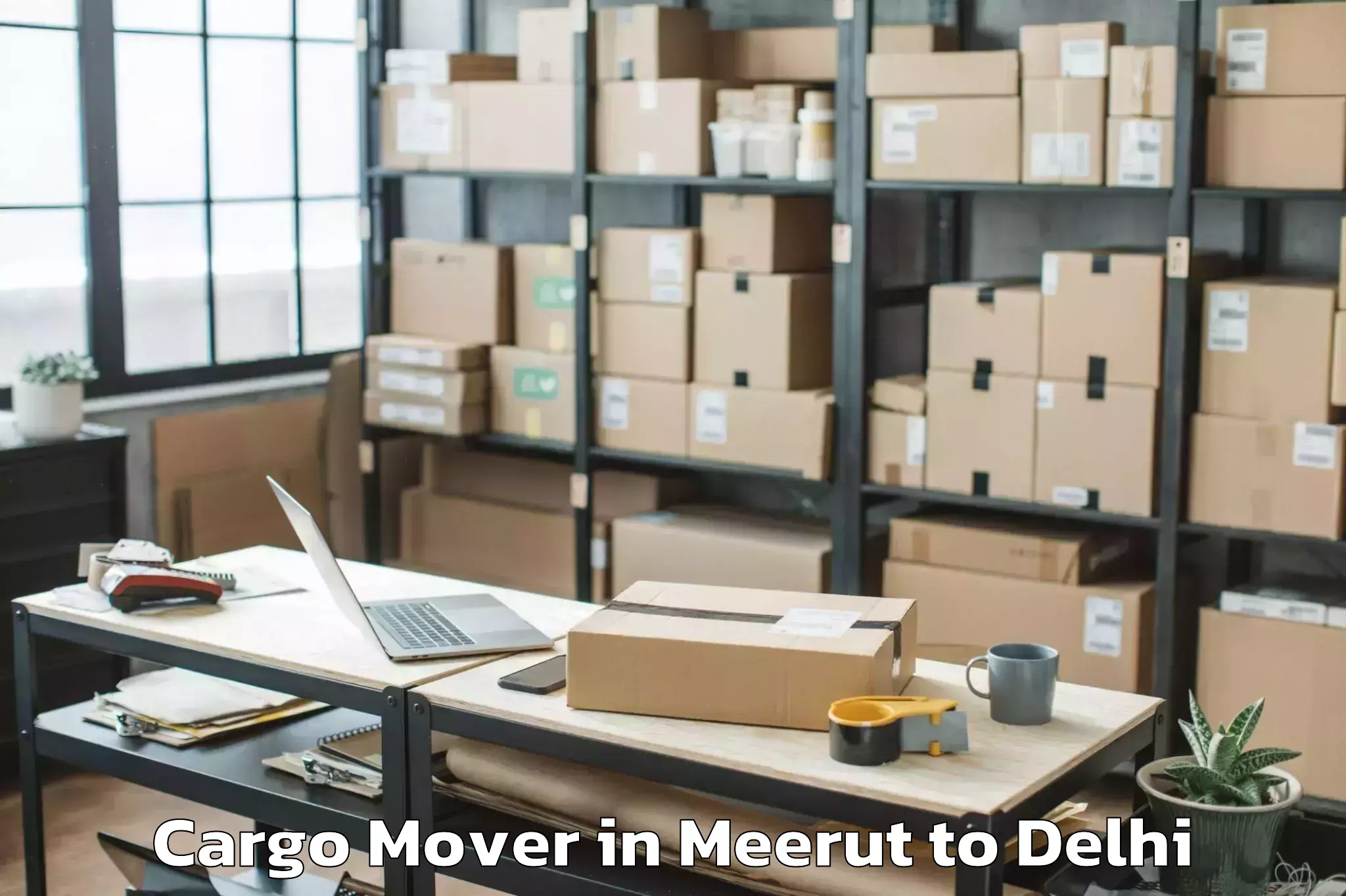 Book Meerut to National Institute Of Educatio Cargo Mover Online